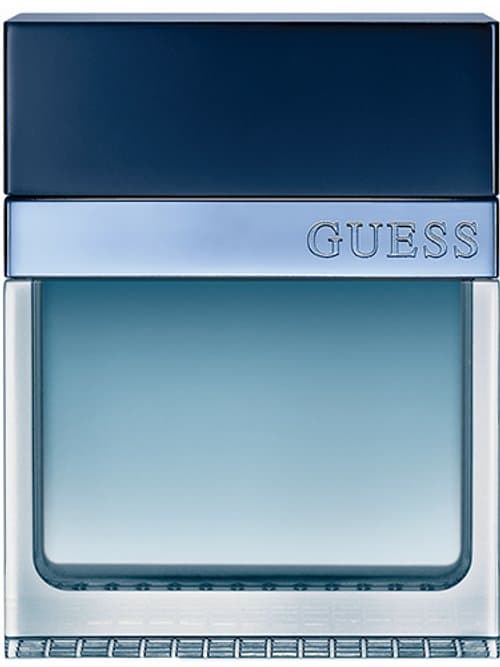 Guess Seductive Homme Blue