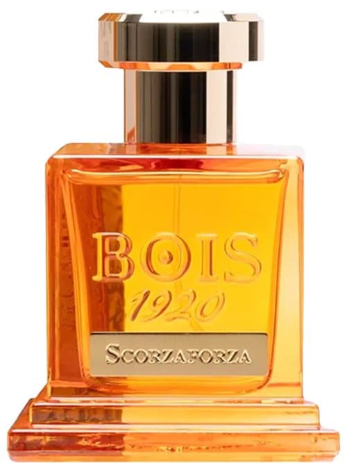Scorzaforza