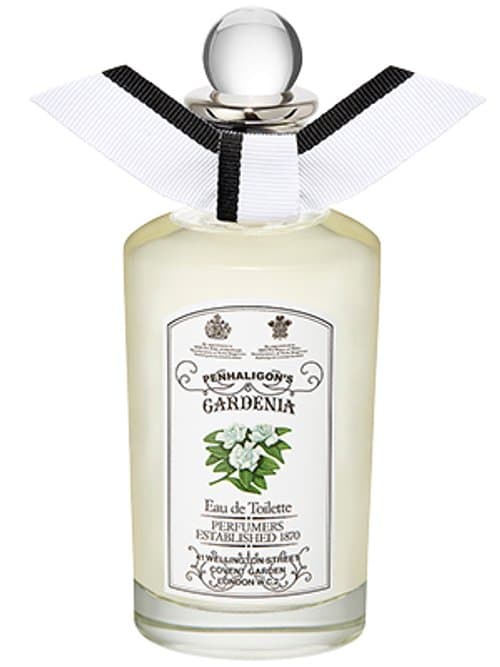Gardenia