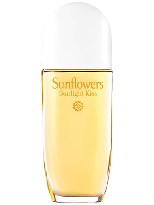 Sunflowers Sunlight Kiss 2017