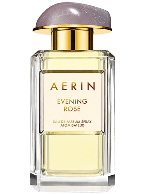 Evening Rose