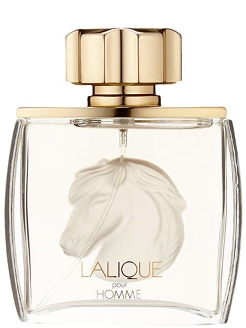 Lalique Pour Homme Equus / Horse