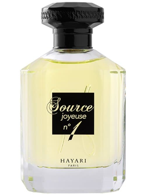 Source Joyeuse Nº 1