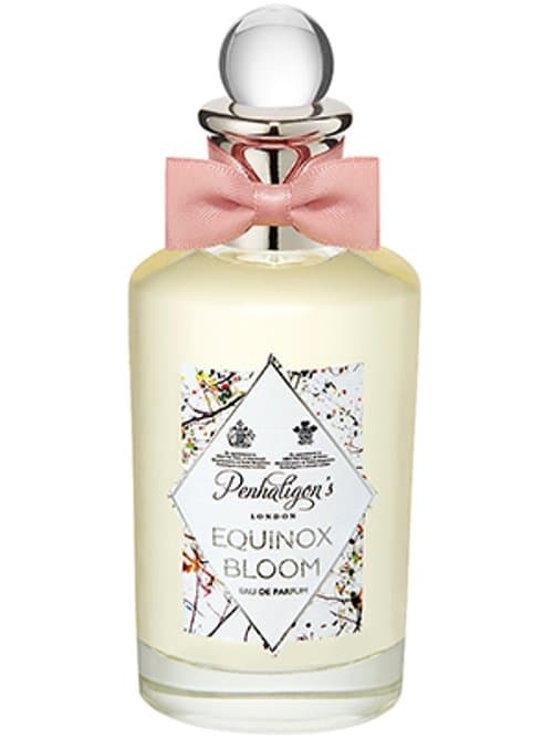 Equinox Bloom