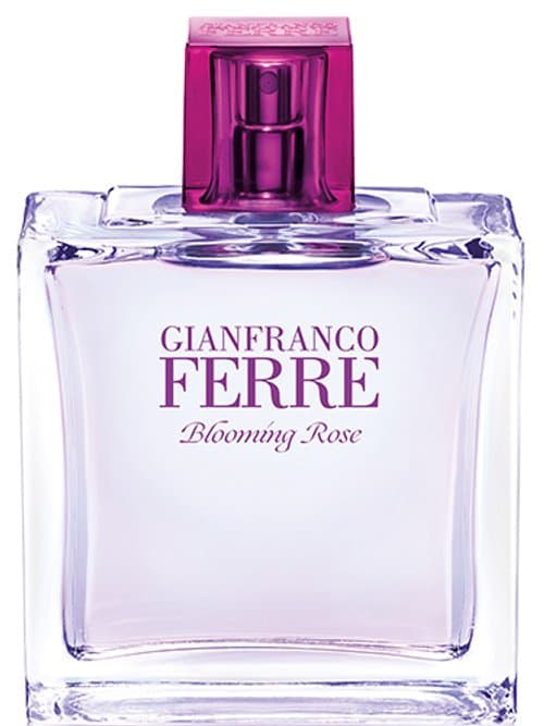 Ferré Blooming Rose