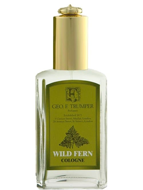 Wild Fern