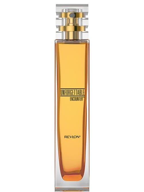 Unforgettable Encounter