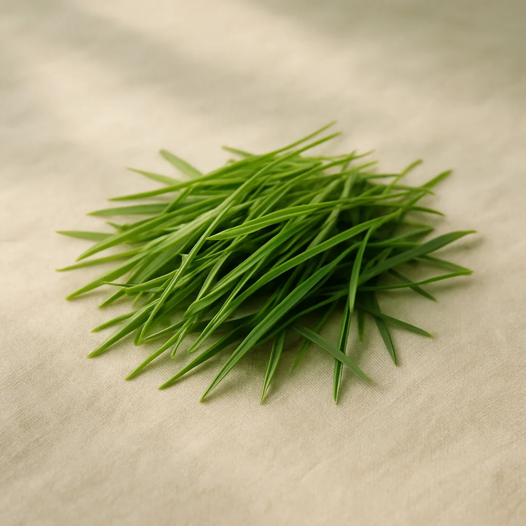 Fresh Cut Grass