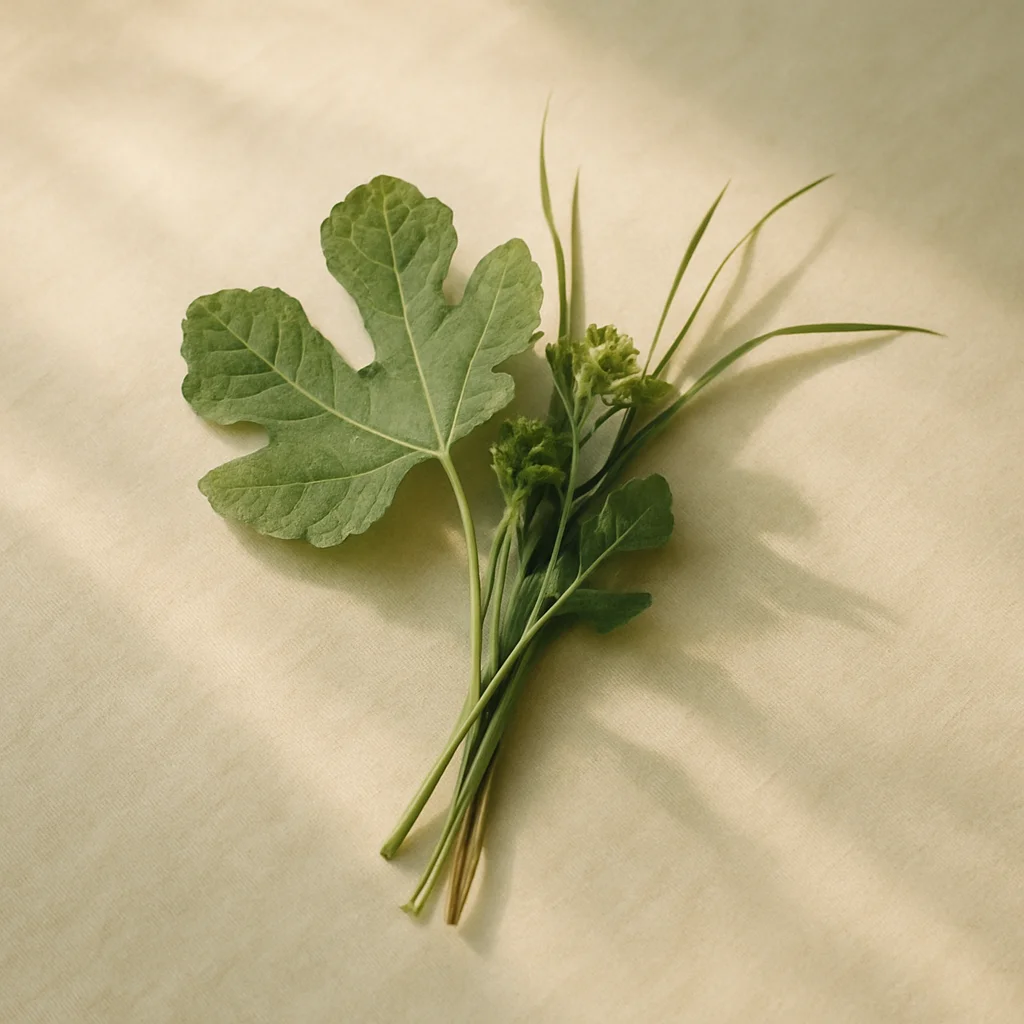 green notes